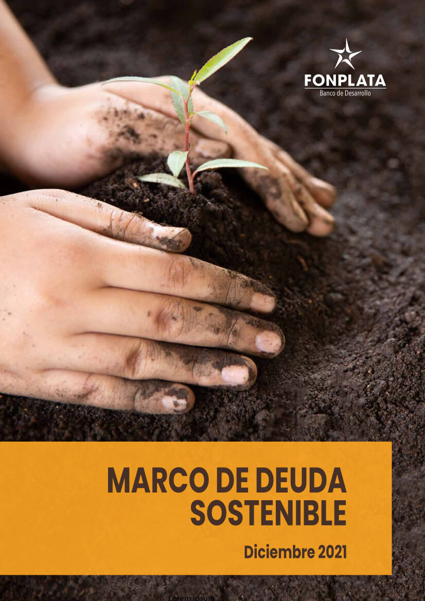 Marco de Deuda Sostenible