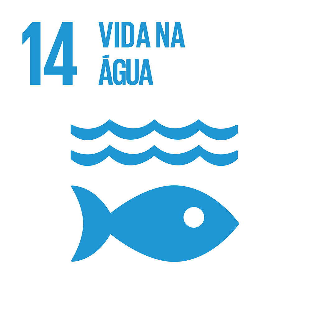 ODS 2030 - Vida na &Aacute;gua